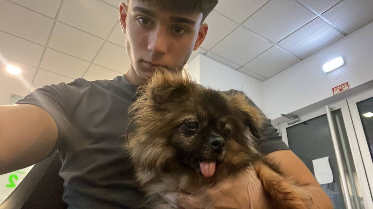 Filipe Tomé - Ílhavo - Dog Sitting