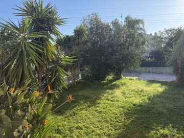 Serviço de Jardinagem - Casa
