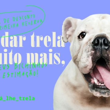Maria Fernandes - Braga - Dog Sitting