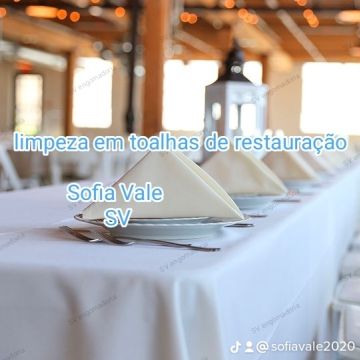 Sofia do vale unipessoal lda limpeza - Paredes - Suporte Administrativo