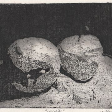António Silva - Vila Nova de Gaia - Explicações