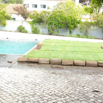 Alex - Sintra - Estufas