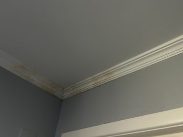 Pintor de Interiores - Casa