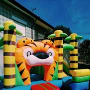 Happy Colour - Insufláveis Aveiro - Ílhavo - Jump House Rental