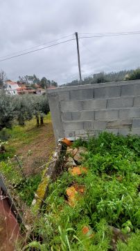 Especialista de Obras