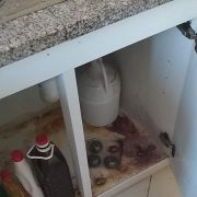 Fm limpezas - Braga - Limpeza de Propriedade