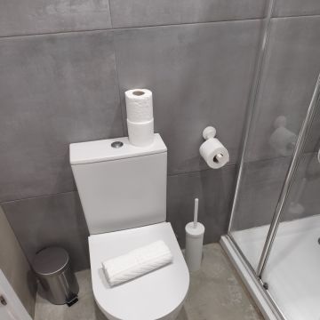 Mania das limpezas - Seixal - Disinfection Company