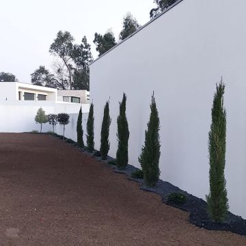 Duarte Sousa - Vila Verde - Jardinage et pelouses