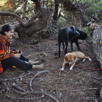 Erica - Moita - Banhos e Tosquias para Animais