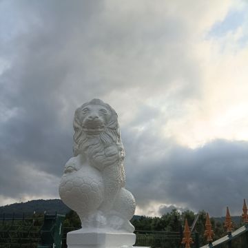 Ramon Santos - Viana do Castelo - Instalación de suelos de baldosas o piedras