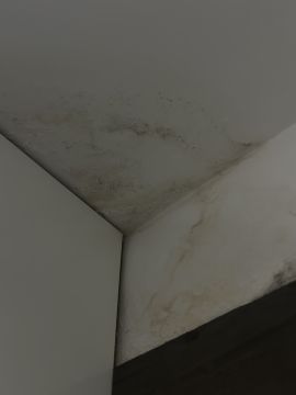 Pintor de Interiores - Casa