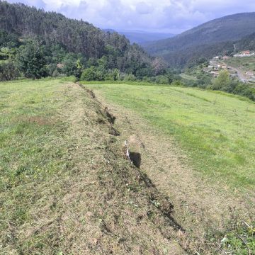 Verde Lima - Ponte de Lima - Entfernung von Gebüsch- und Baumaufwuchs