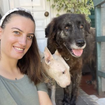 Ana Ramalho - Coimbra - Fensterreinigung