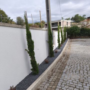 Duarte Sousa - Vila Verde - Plantation d’arbres