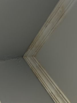 Pintura de Interiores - Pintura