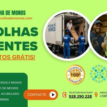 Recolha de Monos - Lisboa - Nettoyage en profondeur