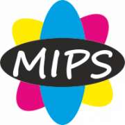 MIPS - Pedro Canossa - Gondomar - Diseño web