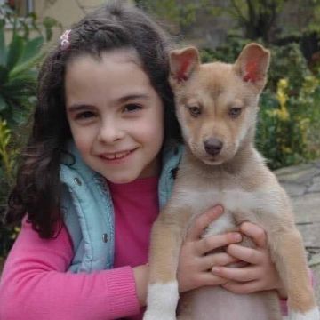 Maria Fernandes - Braga - Pet Sitting and Walking