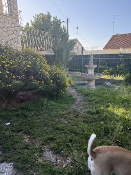 Jardinagem