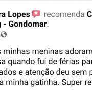Cristina Santos - Gondomar - Tradução