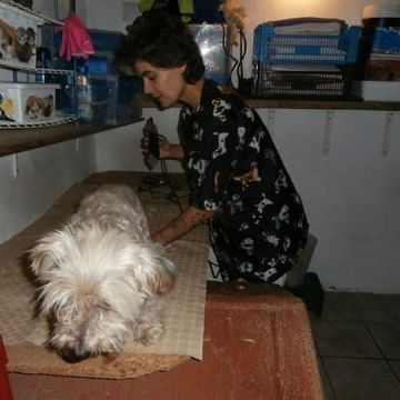 Erica - Moita - Dog Daycare