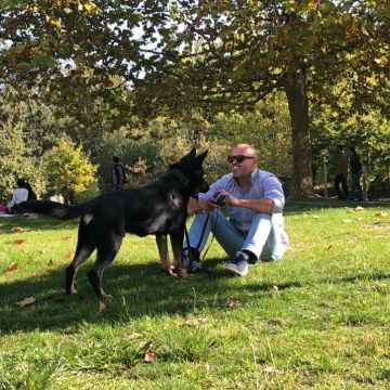 João Reis - Lisboa - Adiestramiento de perros - Clases privadas