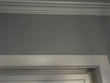 Pintura de Interiores