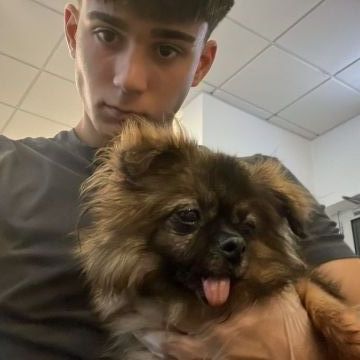 Filipe Tomé - Ílhavo - Dog Sitting