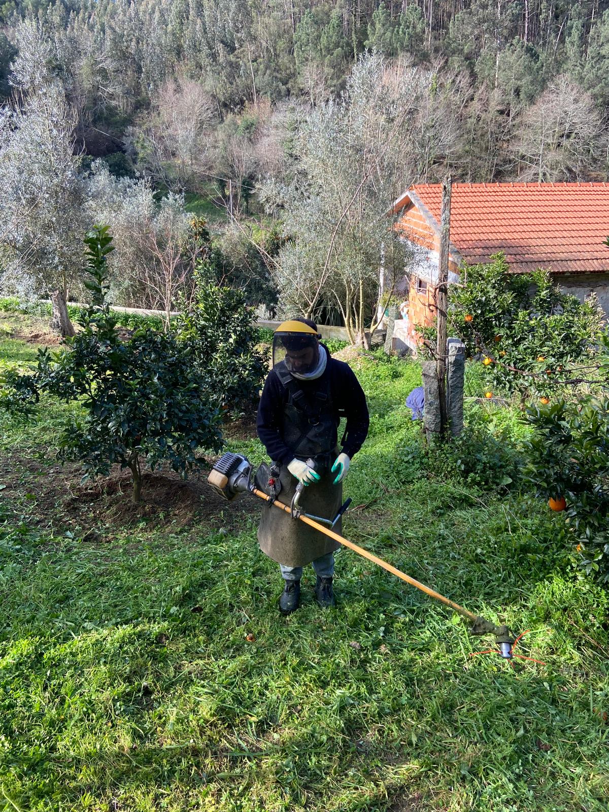 Cantinho Verde - Braga - Tree Trimming and Maintenance