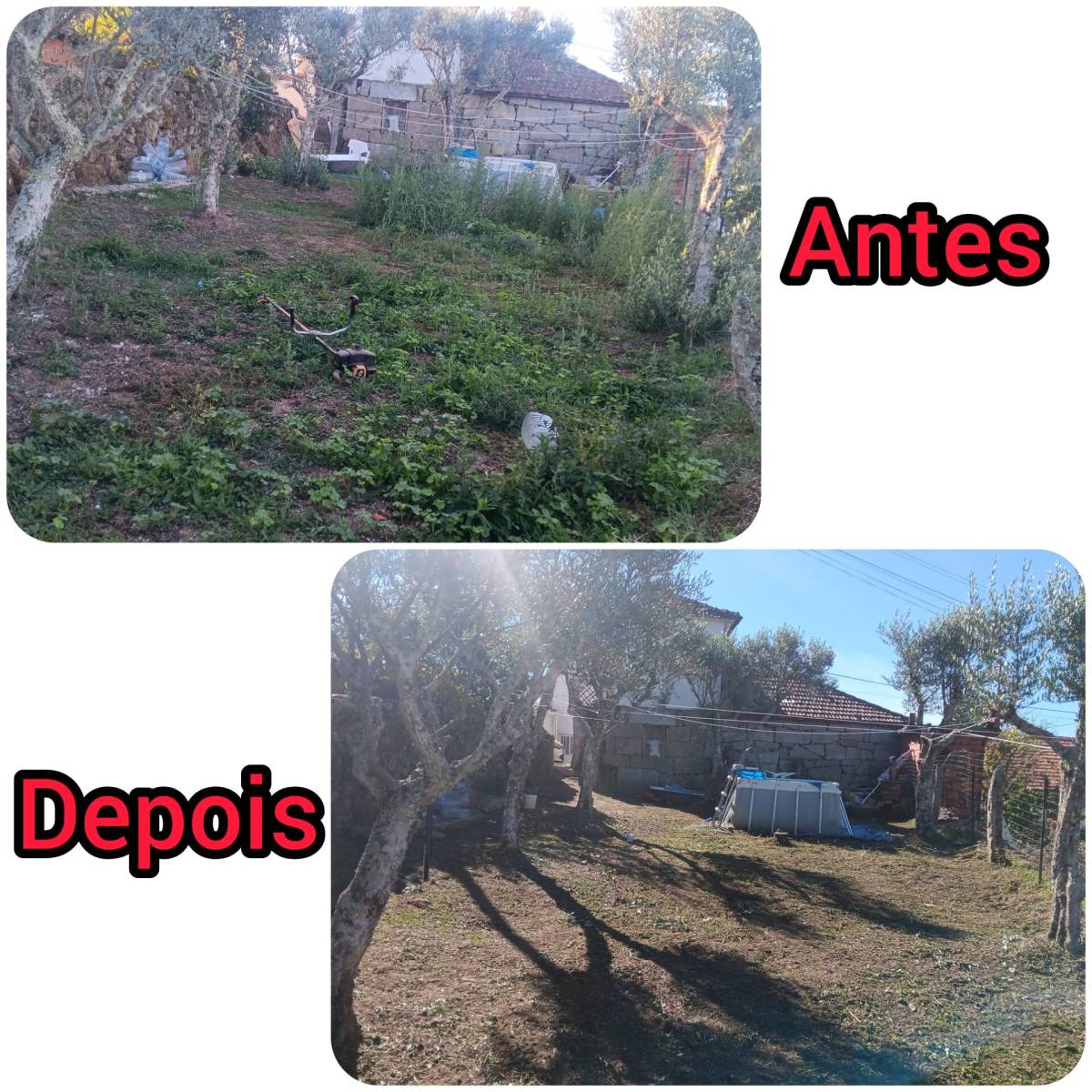 Turbo limpezas - Chaves - Poda y mantenimiento de árboles