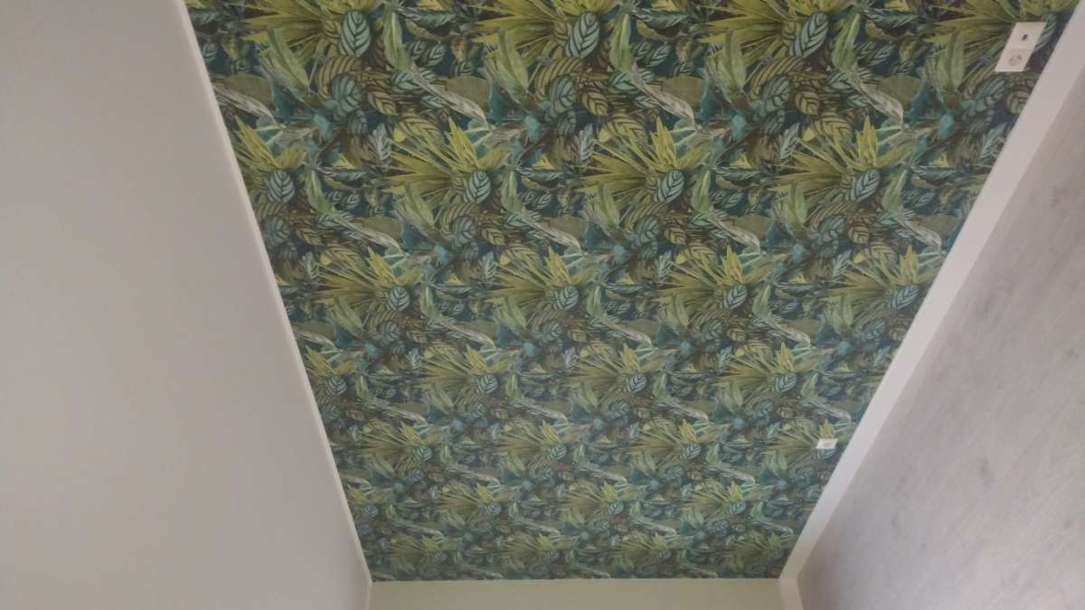 AfonsoBunn - Sintra - Wallpaper Repair