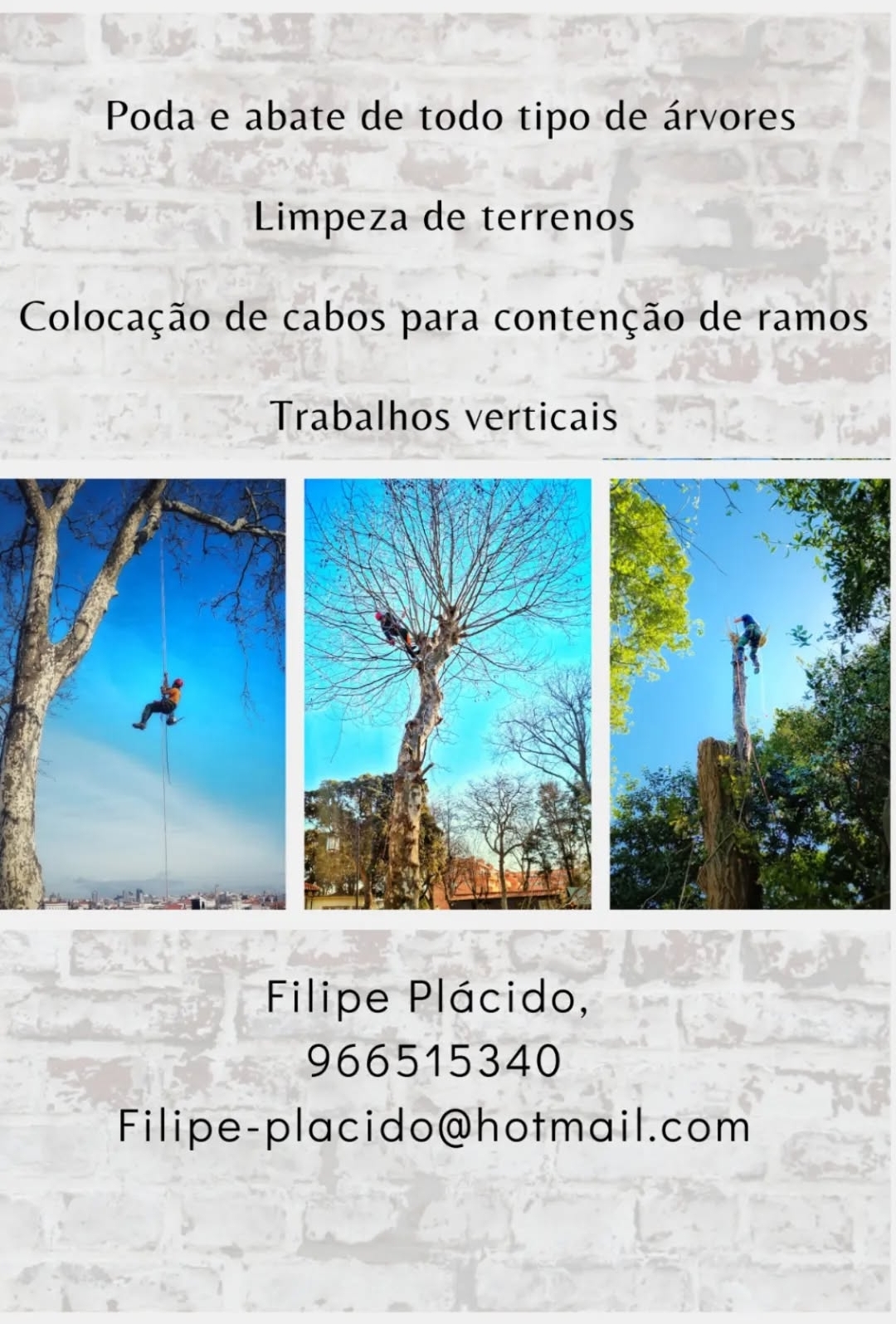 Filipeplacidoarborista - Maia - Tree Trimming and Maintenance