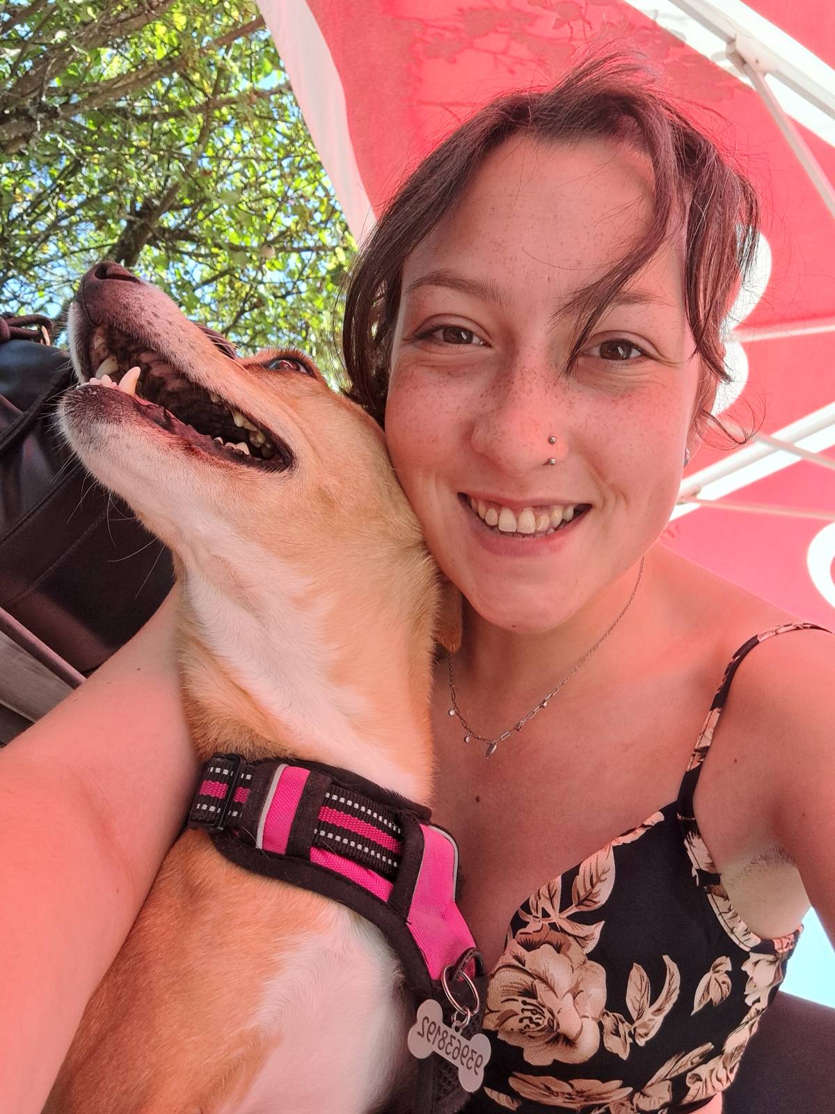 Bruna Fonseca - Gondomar - Dog Walking