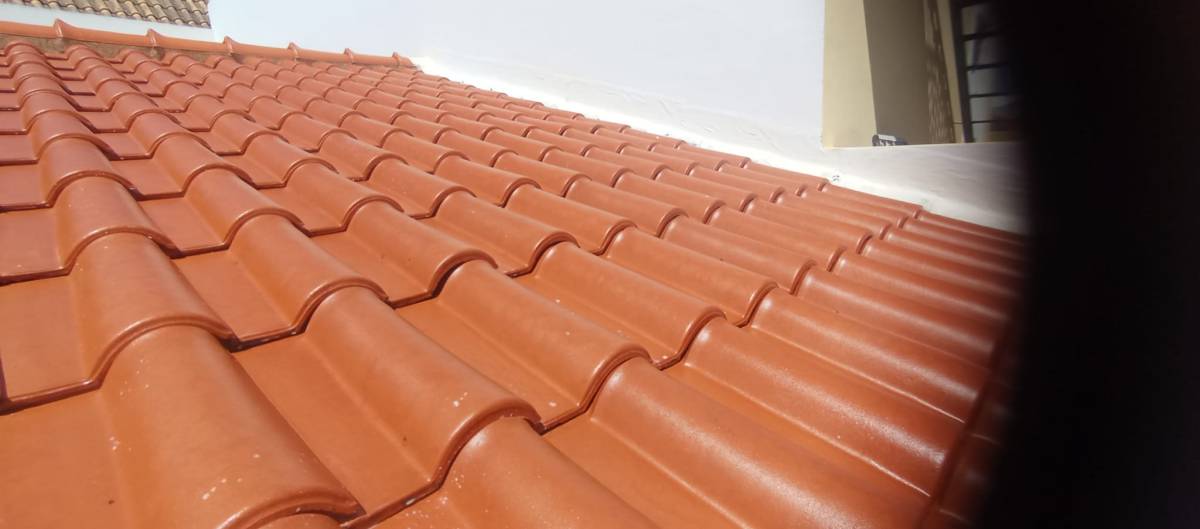Roof Cleaner