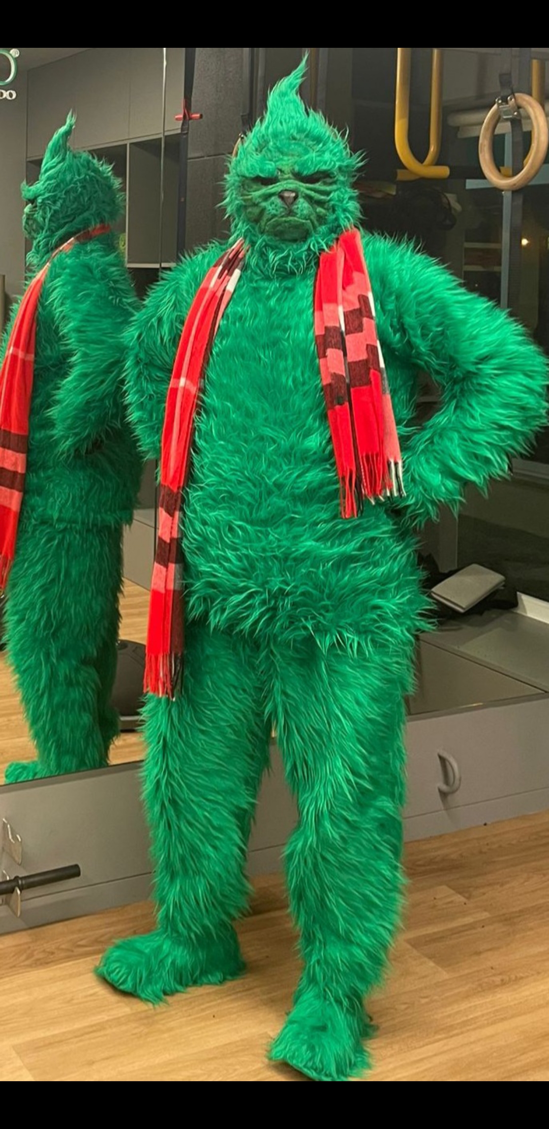 Mr.Grinch - Vila do Conde - Animação - Personagens e Mascotes