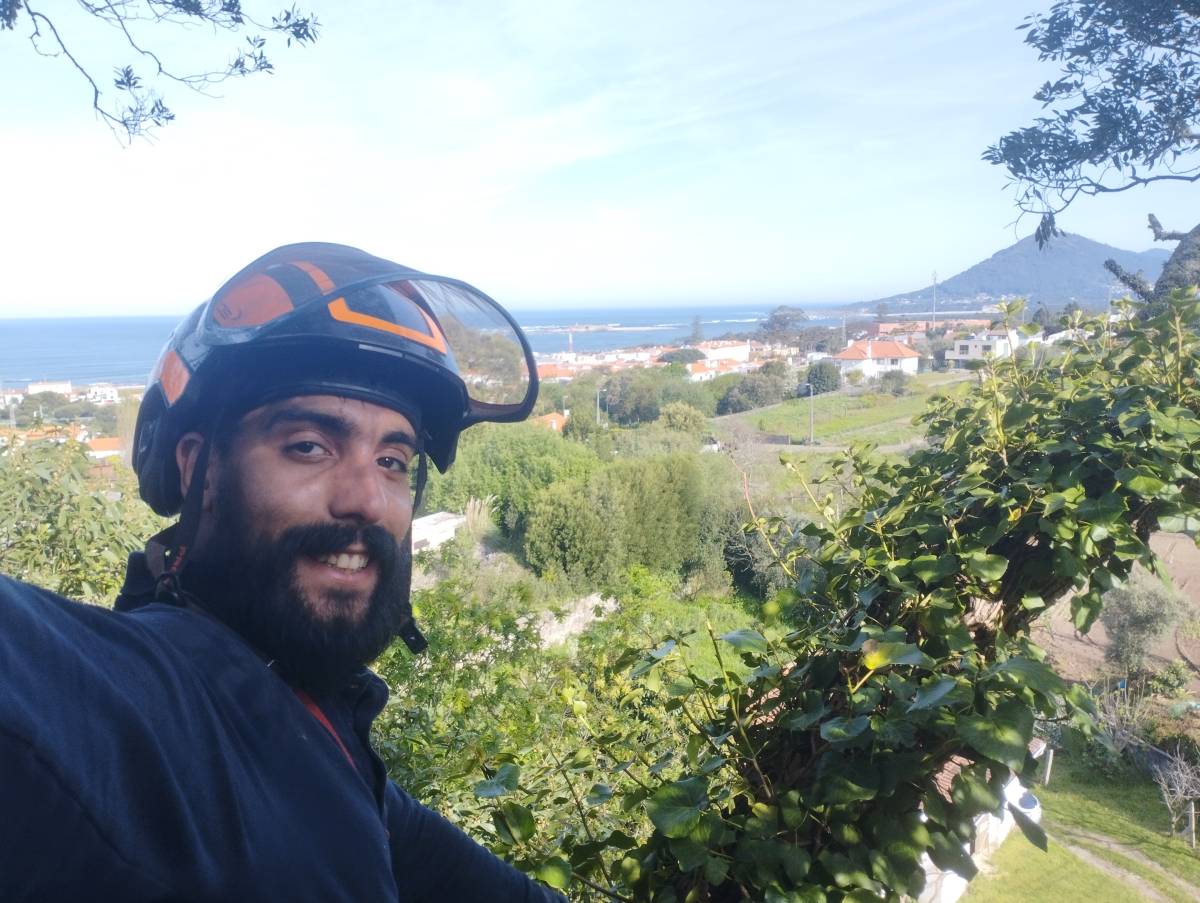 Filipeplacidoarborista - Maia - Shrub Removal