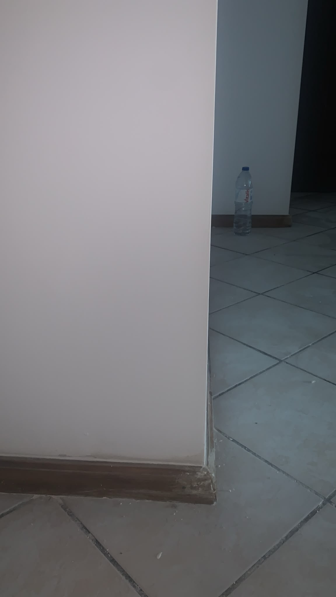 Anderson Silva - Vila do Conde - Reparação de Papel de Parede