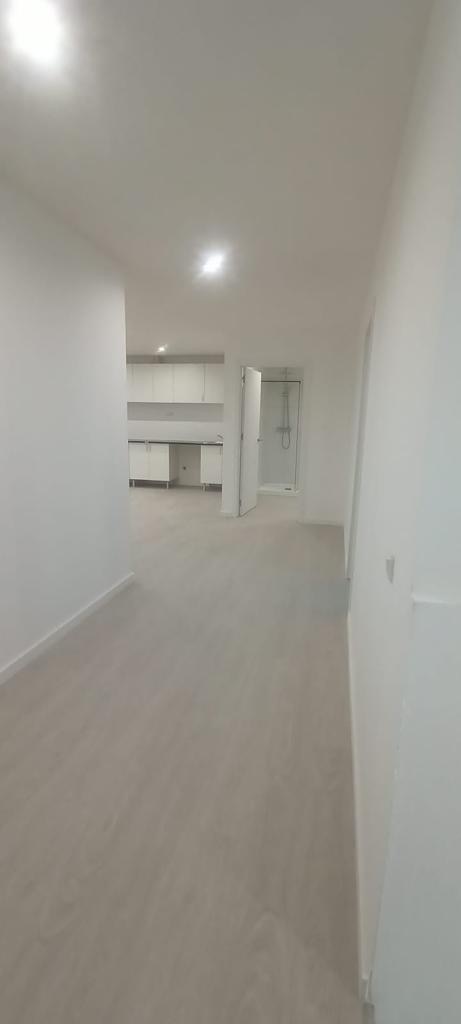 Diamond Wood(fya remodelações) - Odivelas - Estufas