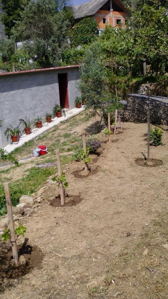 Cantinho Verde - Braga - Shrub Removal