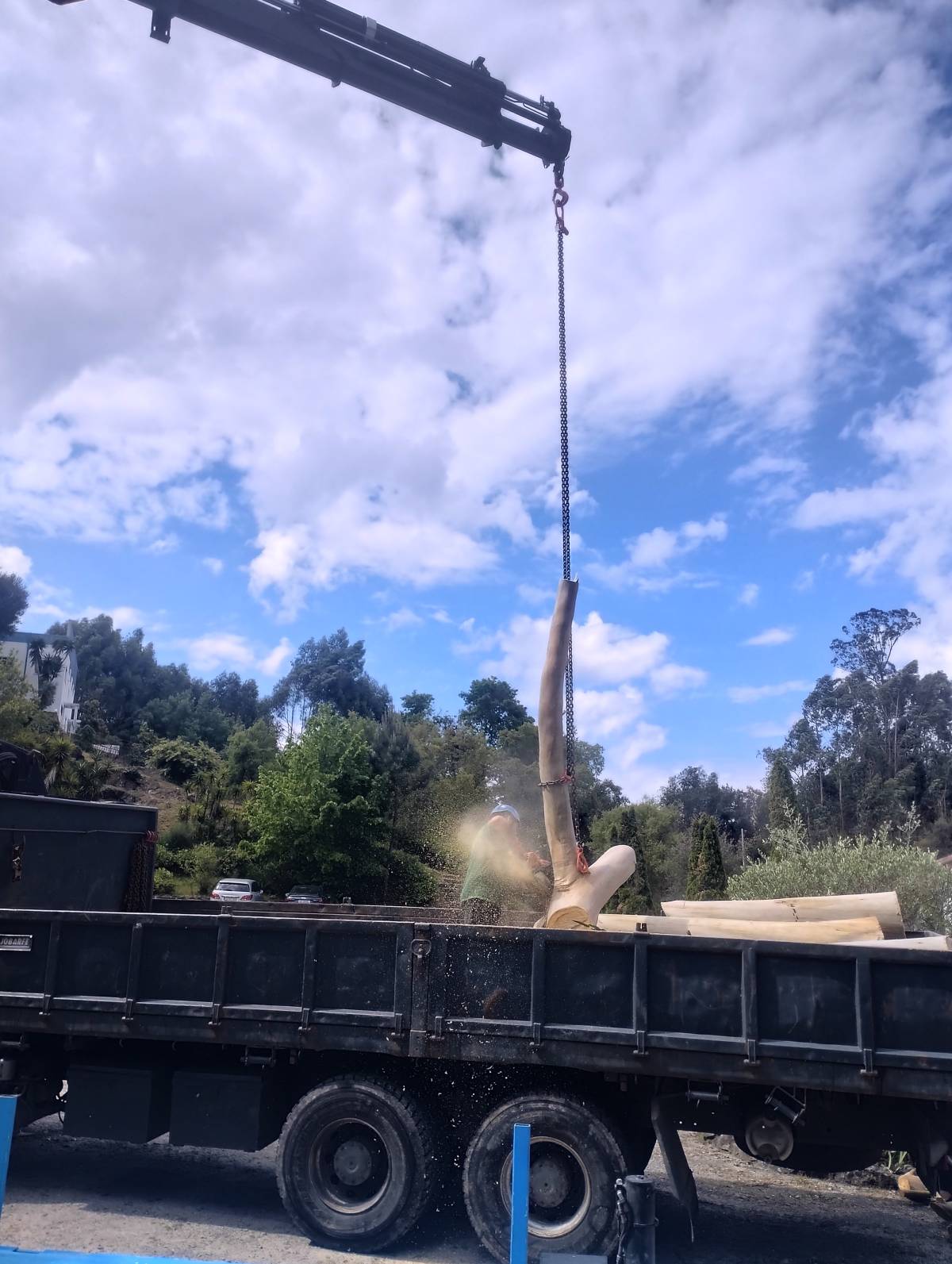 Filipeplacidoarborista - Maia - Tree Stump Grinding and Removal