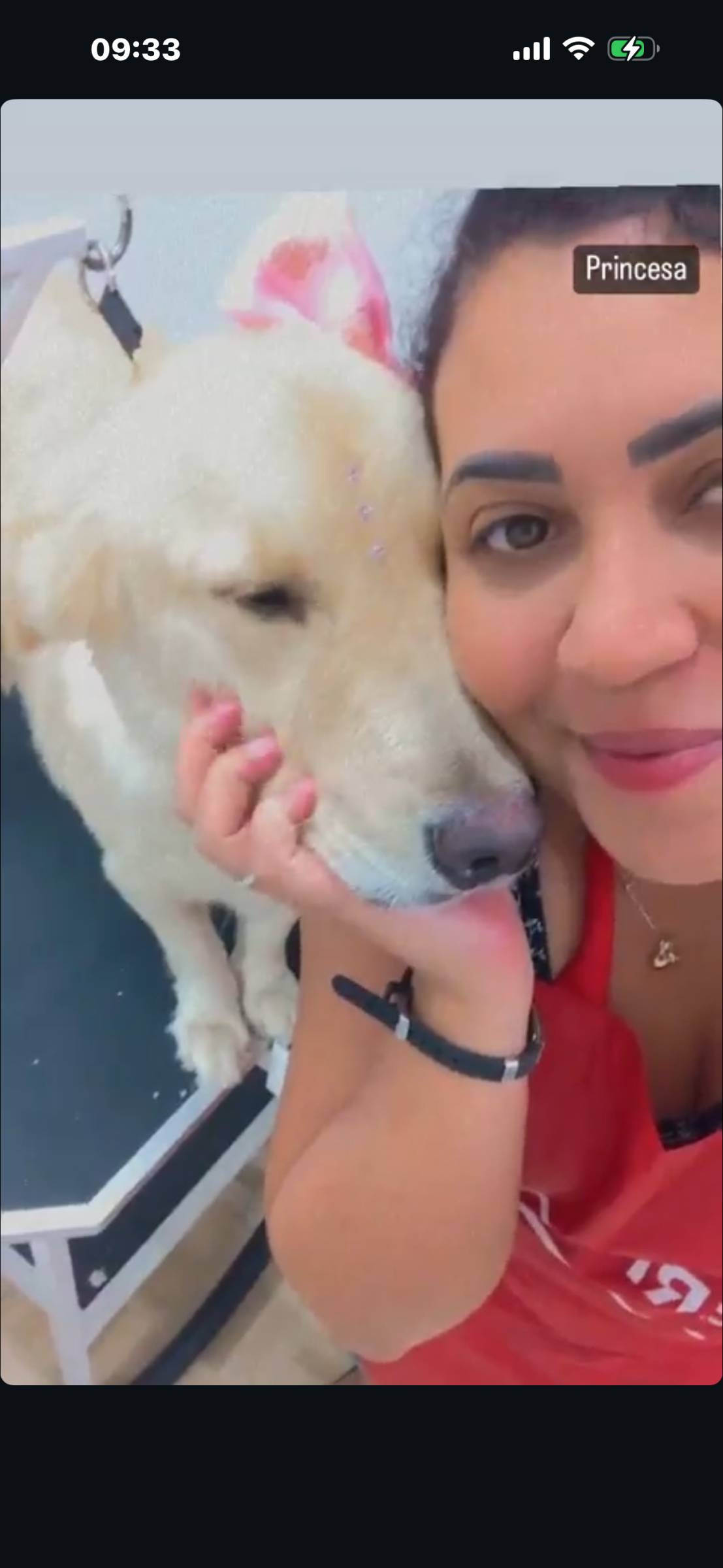 Lidiane - Sintra - Banhos e Tosquias para Animais
