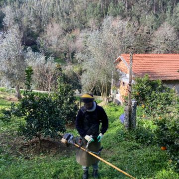 Cantinho Verde - Braga - Tree Trimming and Maintenance