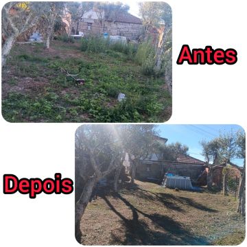 Turbo limpezas - Chaves - Poda y mantenimiento de árboles