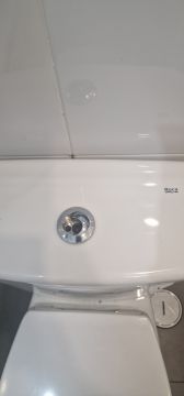 Toilet Repair