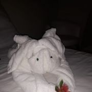 Concretiza obras - Cascais - Carpet Installation