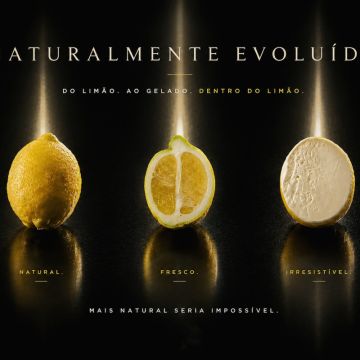 Kaulexa Marketing - Silves - Personal