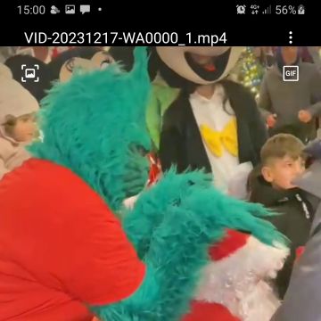 Mr.Grinch - Vila do Conde - Animação - Personagens e Mascotes