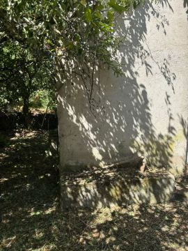 Catarina miranda - Oliveira de Frades - Dachreinigung