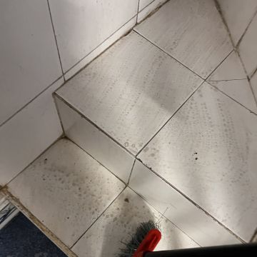 Serviço do Lar Ribatejana - Lisboa - Nettoyage de locaux commerciaux