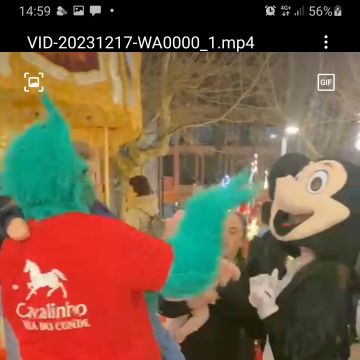 Mr.Grinch - Vila do Conde - Entretenimento com Personagens Mascaradas